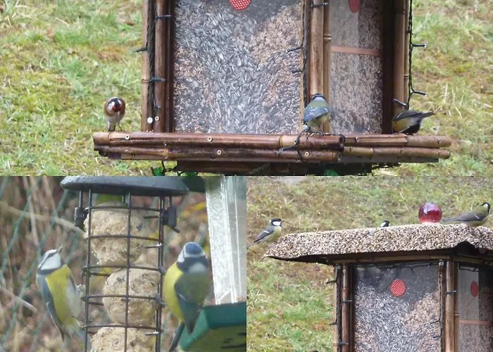 Ferienhaus Moscheltal Dom wakacyjny Waldgrehweiler